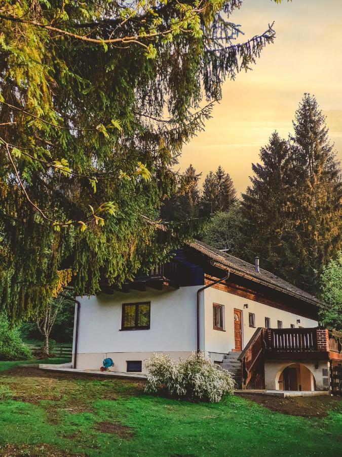 Апартаменти Ferienhaus Mooshuben Маріацелль Екстер'єр фото